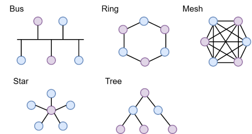 NetTopo