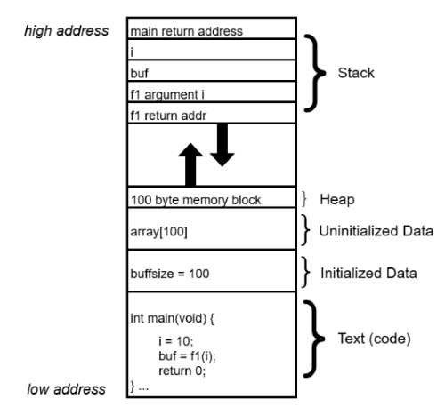 Cseg
